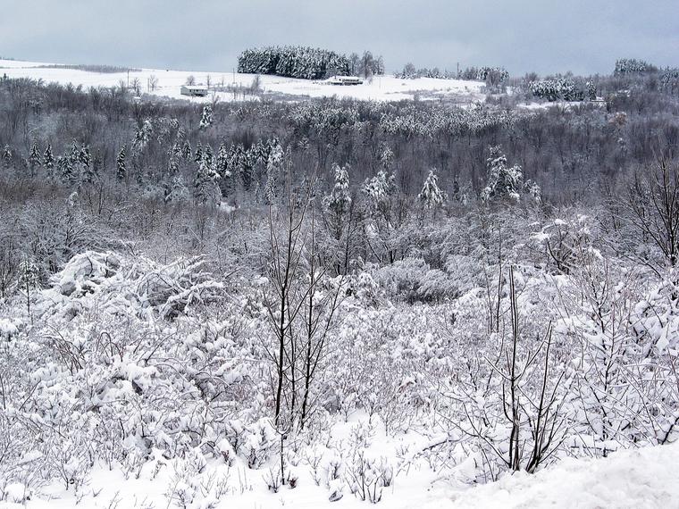 Snowy Hill photo