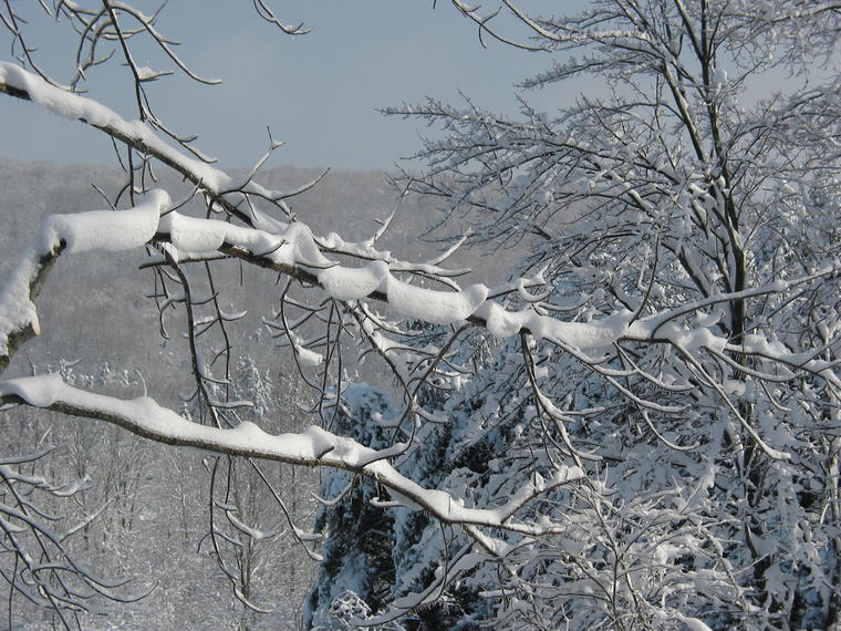 Snowscape II photo