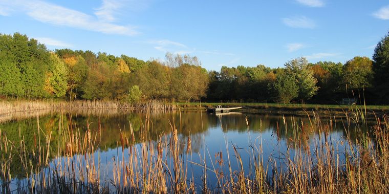 Autumn Pond photo