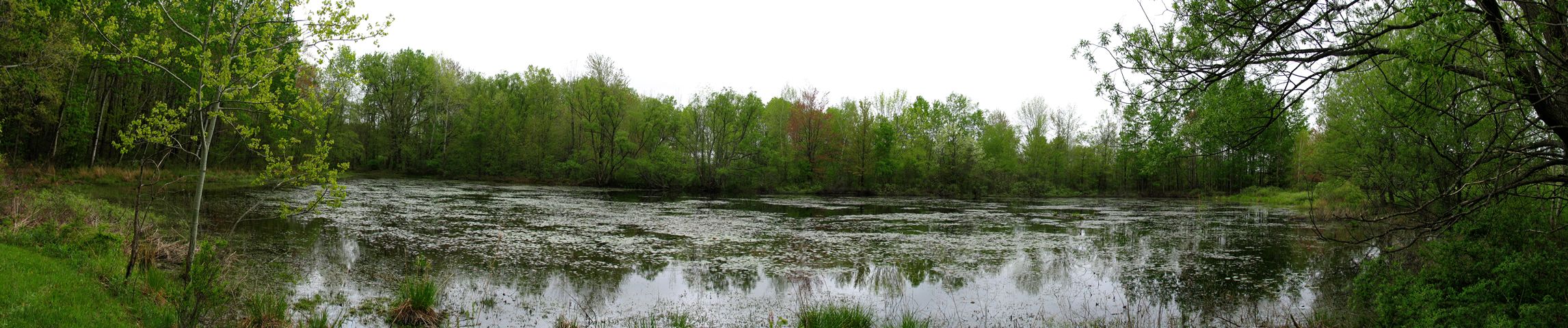 Lake Inferior photo