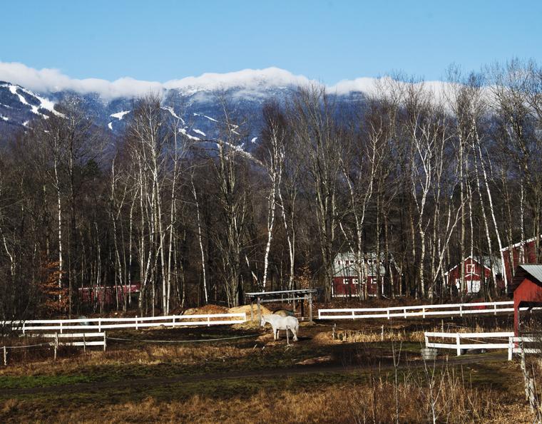 Scenic Vermont photo